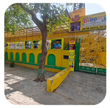 Play Area