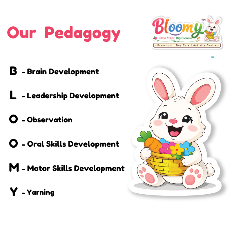Pedagogy